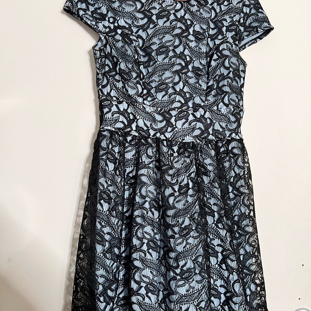 Elegant Black Lace Overlay Dress